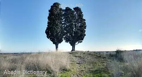 خانه به دوش